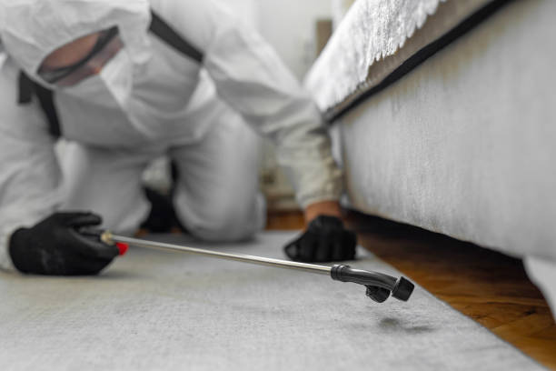 Professional Bed Bug Control technician working in Roseville, MI